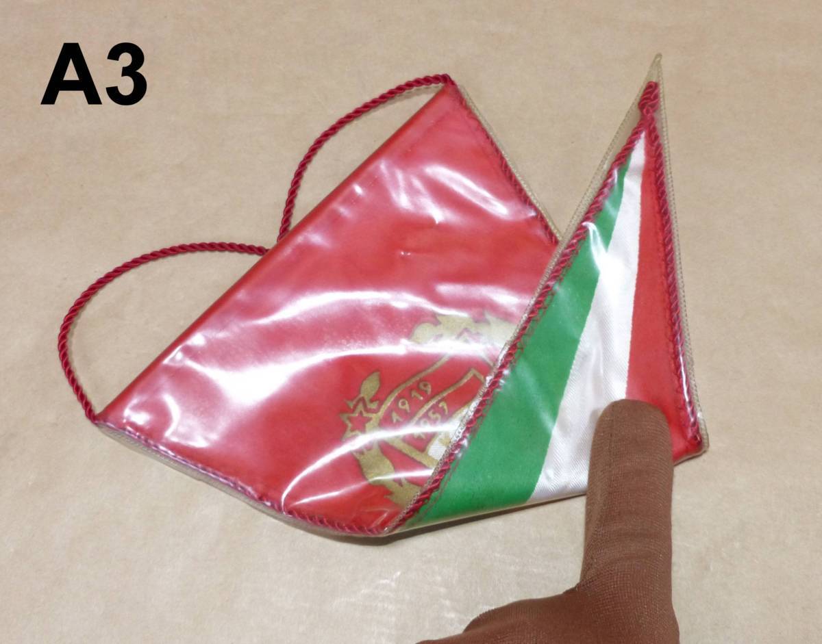 A3 レア物 小さな ペナント KISZ ハンガリーソ連宣言 記念旗_画像3