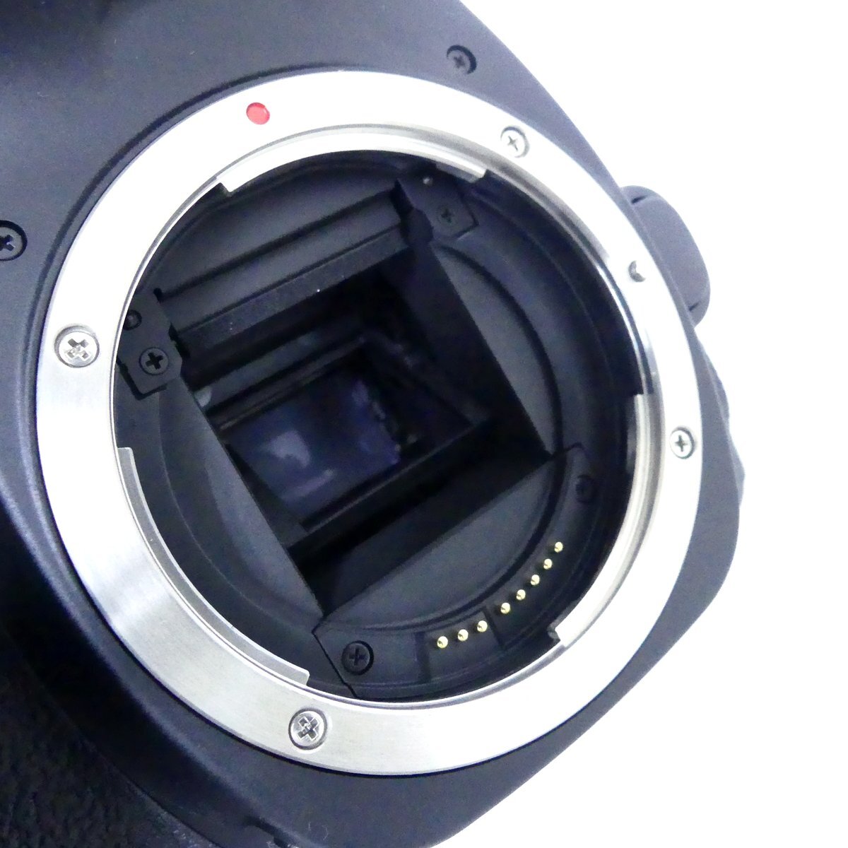 [ бесплатная доставка ] Canon Canon EOS 80D цифровой однообъективный камера корпус др. принадлежности простой работа OK прекрасный товар /2510C