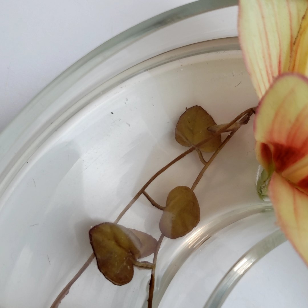 エミリオロバ EMILIO ROBBA アートフラワー 造花 花瓶 オブジェ 置物 飾り インテリア 小物 雑貨 コレクション 【80n1357】_画像7