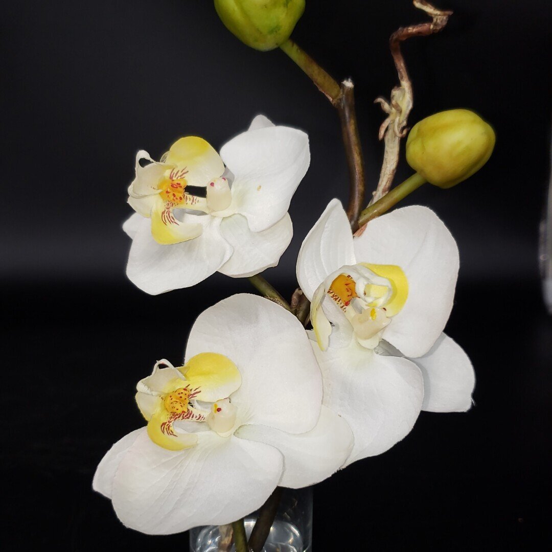 胡蝶蘭 エミリオロバ EMILIO ROBBA アートフラワー 造花 オブジェ 置物 飾り インテリア 小物 雑貨 コレクション 【60i5345】_画像5