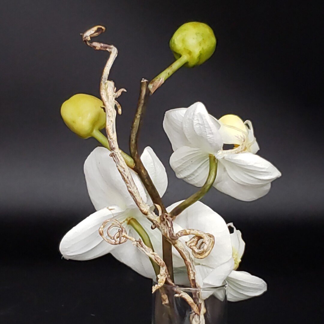 胡蝶蘭 エミリオロバ EMILIO ROBBA アートフラワー 造花 オブジェ 置物 飾り インテリア 小物 雑貨 コレクション 【60i5345】_画像6