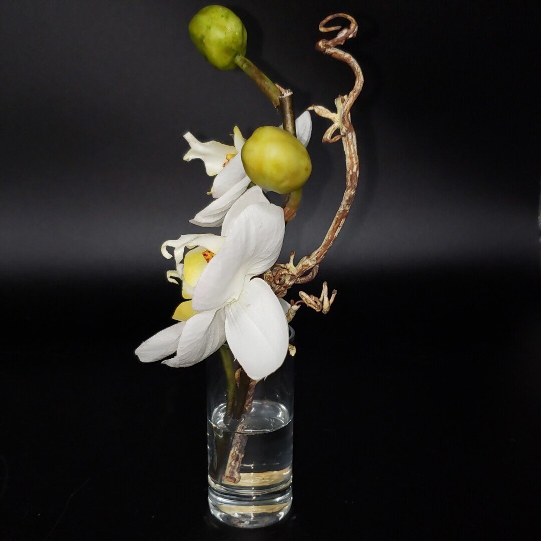 胡蝶蘭 エミリオロバ EMILIO ROBBA アートフラワー 造花 オブジェ 置物 飾り インテリア 小物 雑貨 コレクション 【60i5345】_画像3