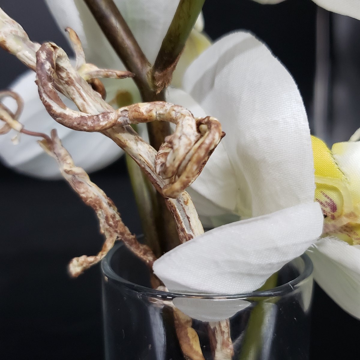 胡蝶蘭 エミリオロバ EMILIO ROBBA アートフラワー 造花 オブジェ 置物 飾り インテリア 小物 雑貨 コレクション 【60i5345】_画像7