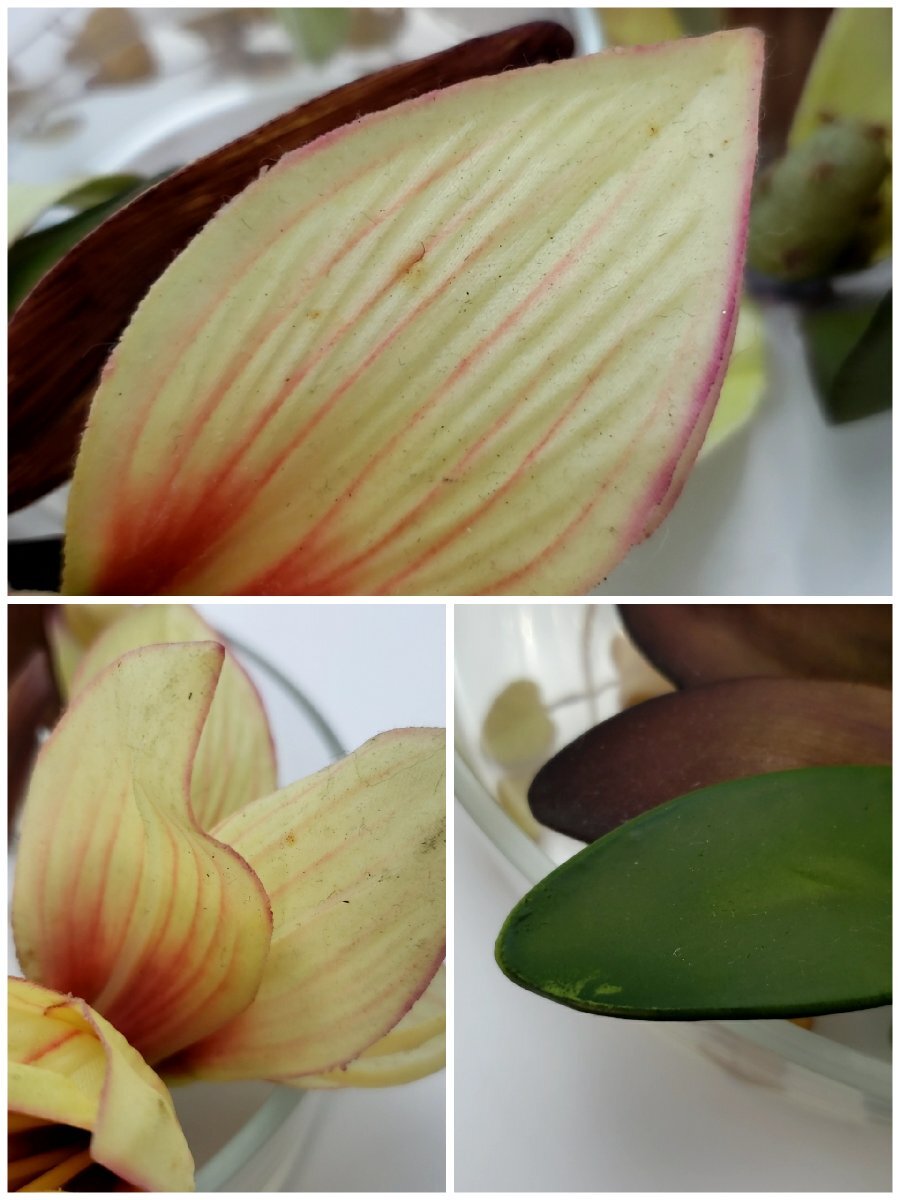 エミリオロバ EMILIO ROBBA アートフラワー 造花 花瓶 オブジェ 置物 飾り インテリア 小物 雑貨 コレクション 【80n1357】_画像9