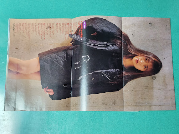 Dunk Dunk 1990 год 2 месяц номер Sakai Noriko CoCo Miyazawa Rie Wink Nakayama Miho Tamura Eriko Nakayama Shinobu река рисовое поле оригинальный . рисовое поле гора подлинный прекрасный .ribbon Kudo Shizuka