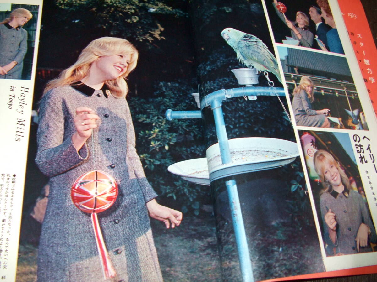 映画の友1963年1月号◆オードリー・ヘプバーン/ジェーン・フォンダ/ソフィア・ローレン/エルザ・マルティネリ/モニカ・ヴィッティ_画像8