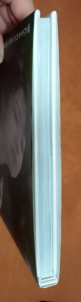 ２冊(cè)　中村靜香 寫真集　月刊中村靜香 浸?。∫绀欷毪猡韦工幛椁欷胜胜盲郡韦?、私のネジが馬鹿になったんだ。きっと。