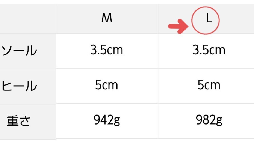 エヘカソポ チロリアンスニーカー新品 1回used ブラック L 今季_画像5