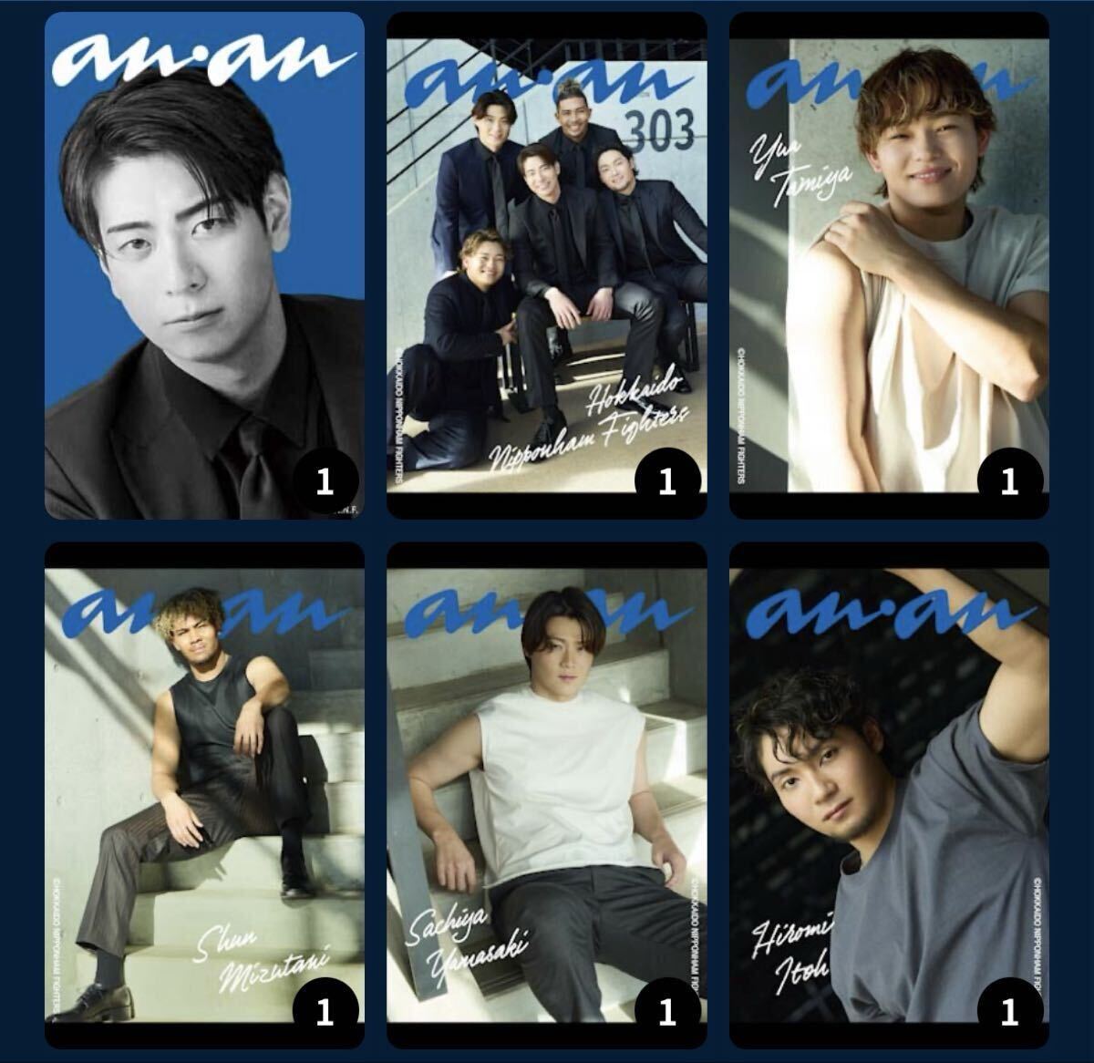 ファイターズトレカ　anan限定トレカ　全25種　パスワードのみ_画像2