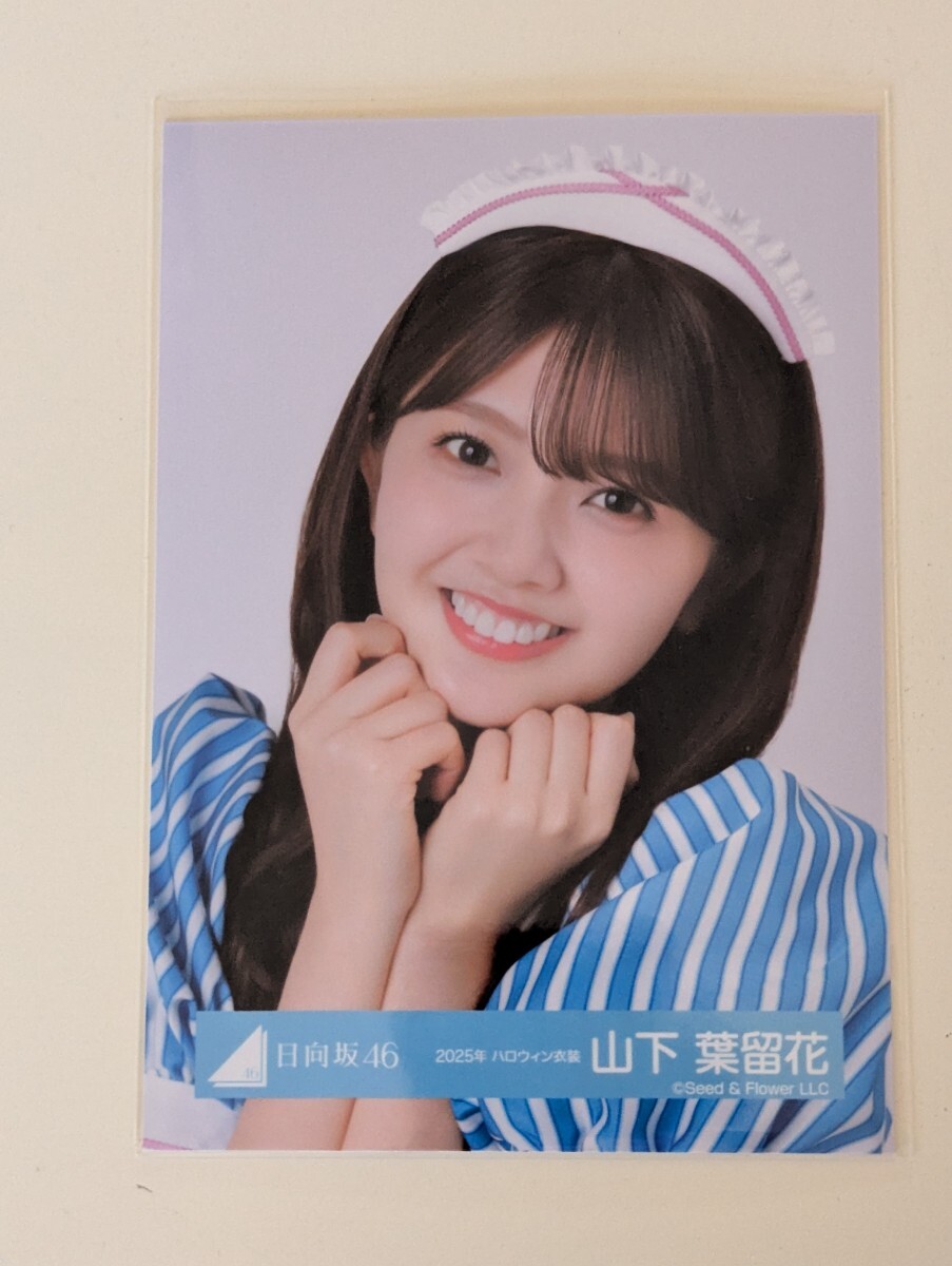 日向坂46　山下葉留花　2025年ハロウィン衣装　　 生写真　 ヨリ_画像1