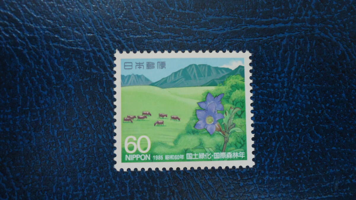 1985 год национальное лесонасаждение 