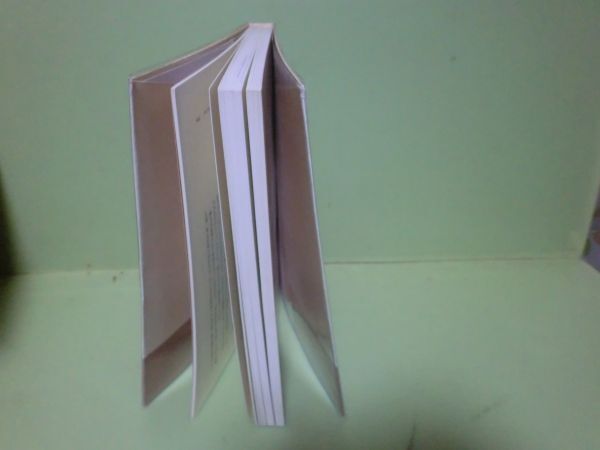 ★辻邦生編『フランスわが旅』昭和52年初版カバー、帯★_画像2