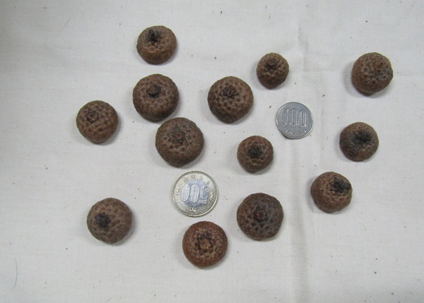 ne. дом. рука создание большой желудь шляпа 100 шт и больше 