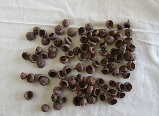 ne. дом. рука создание большой желудь шляпа 100 шт и больше 