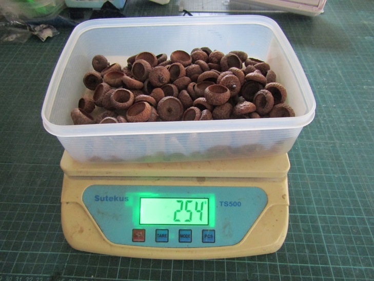 ne. дом. рука создание большой желудь шляпа 100 шт и больше 