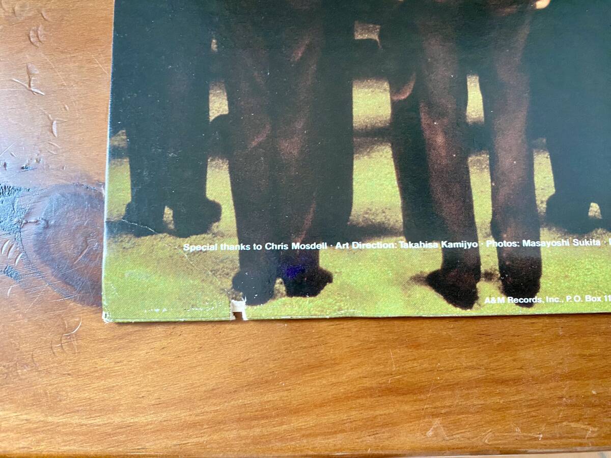 YMO レコード海外盤(US版)『X∞MULTIPLIES』（マルティプライズ）(A&M SP4813) 正規(guī)盤 中古盤