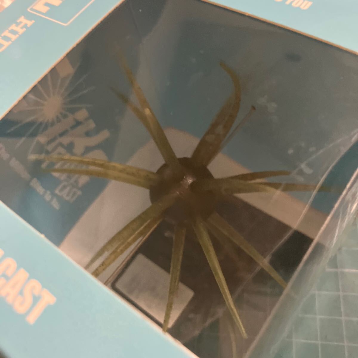 ハイドアップ コイケ フルキャスト #102 ウォーターメロンシード_画像4