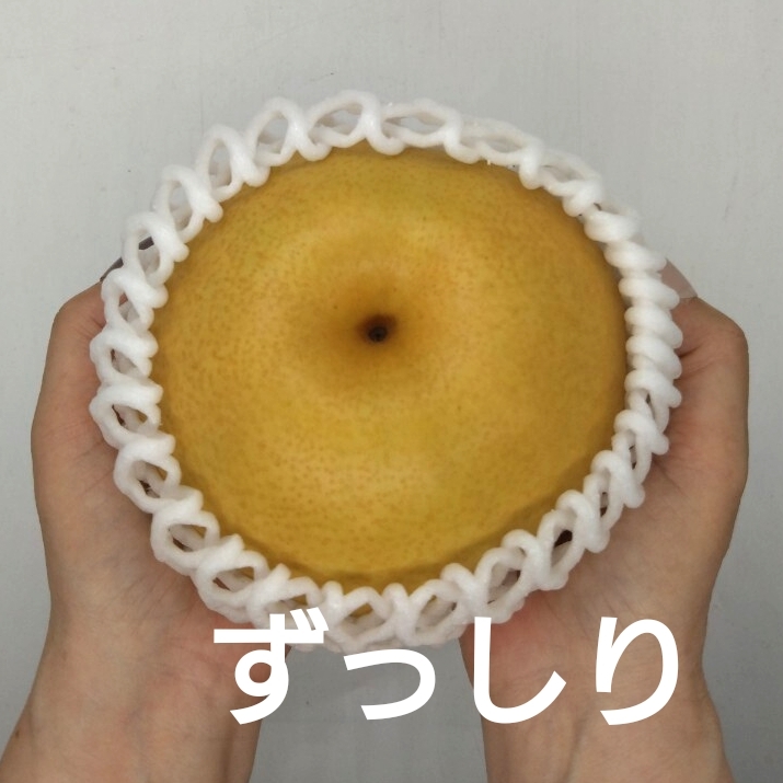 特別価格【新高にいたか梨】特秀品 とにかく甘い 大玉8玉 5kg 梨の画像4