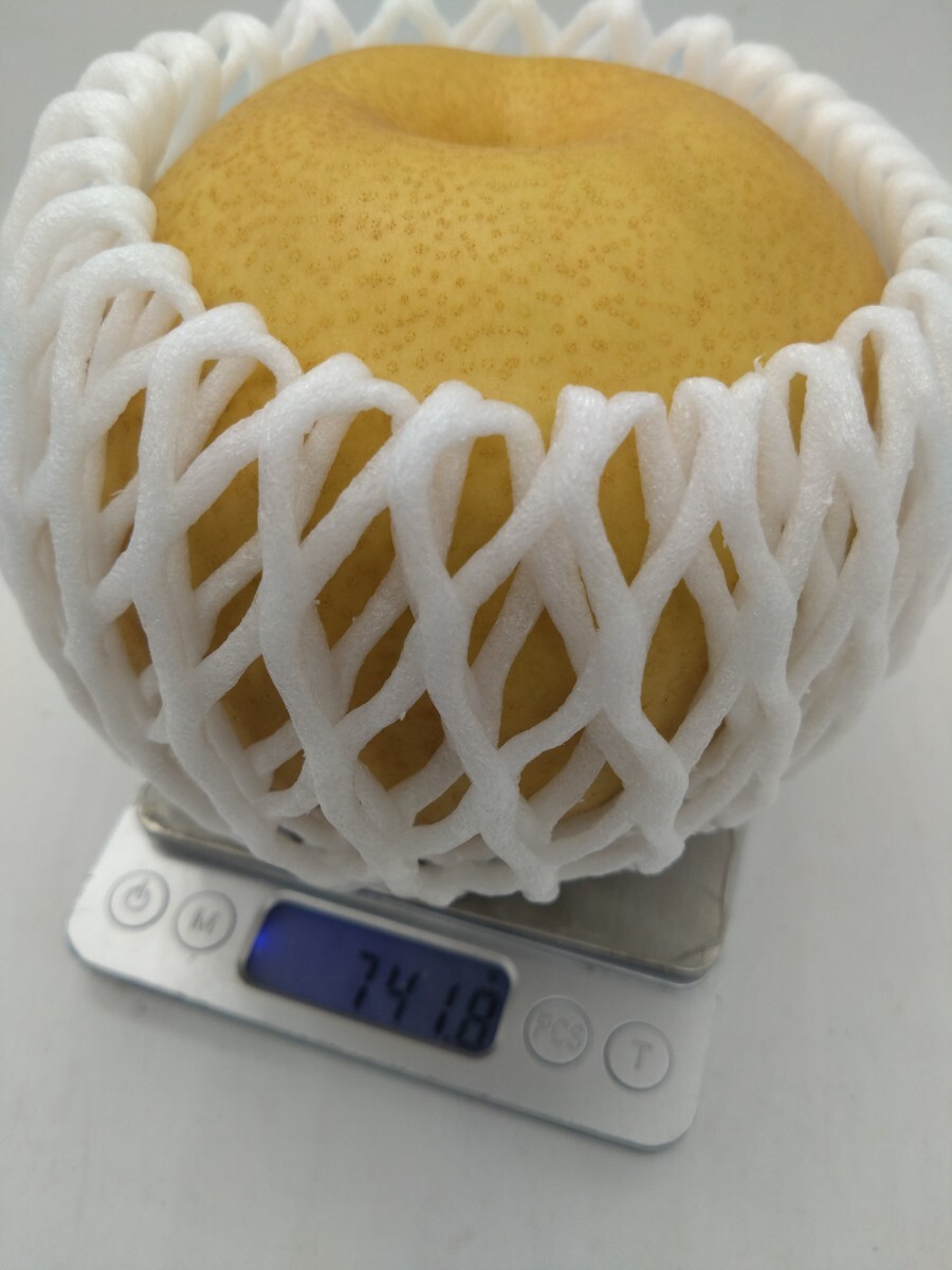 特別価格【新高にいたか梨】特秀品 とにかく甘い 大玉8玉 5kg 梨の画像3