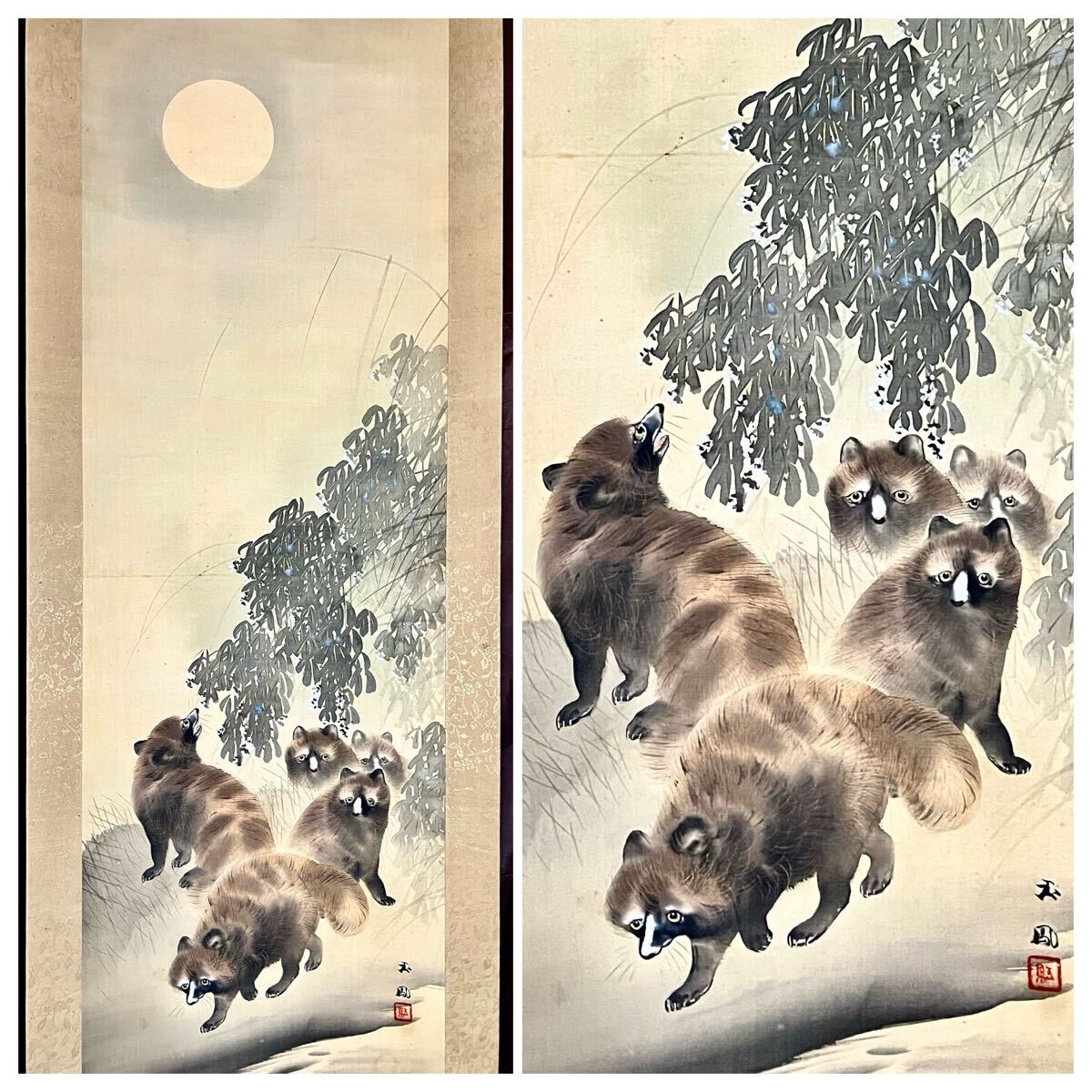 【真作】【S8】斎藤玉鳳「月に狸」絹本 肉筆 合箱 金泥 秋景 花鳥図 鳥獣 朧月 絵画 掛軸 明治-大正時代の日本画家_画像1