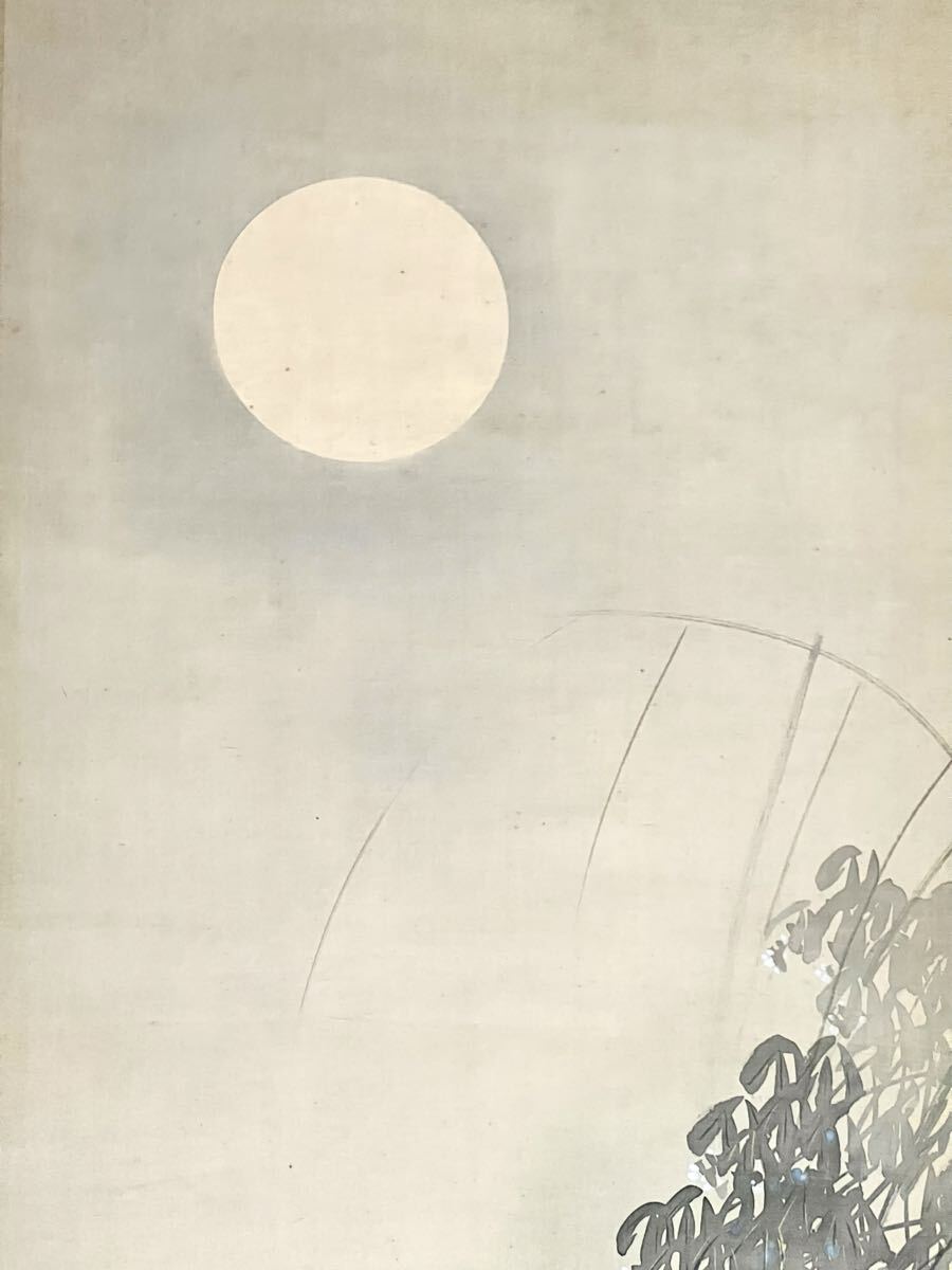 【真作】【S8】斎藤玉鳳「月に狸」絹本 肉筆 合箱 金泥 秋景 花鳥図 鳥獣 朧月 絵画 掛軸 明治-大正時代の日本画家_画像3