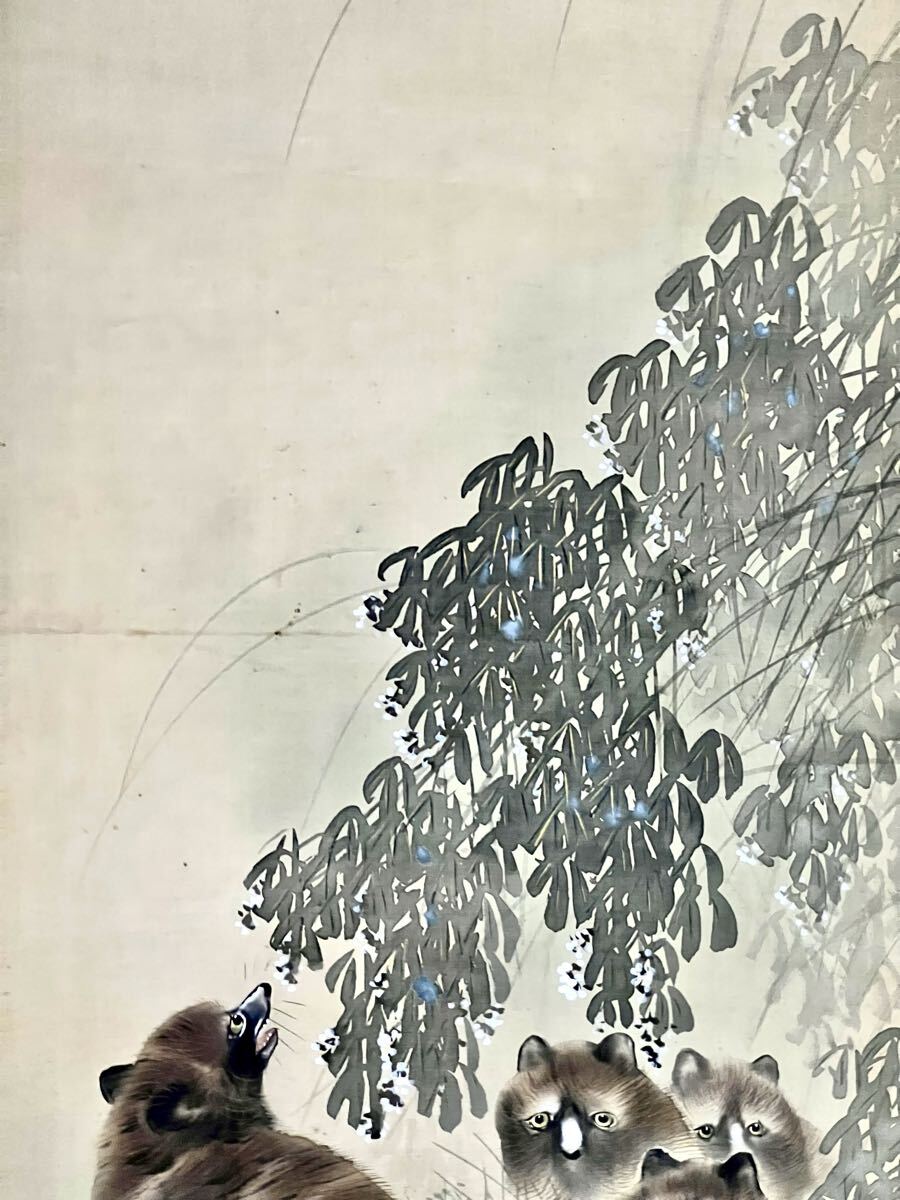 【真作】【S8】斎藤玉鳳「月に狸」絹本 肉筆 合箱 金泥 秋景 花鳥図 鳥獣 朧月 絵画 掛軸 明治-大正時代の日本画家_画像4