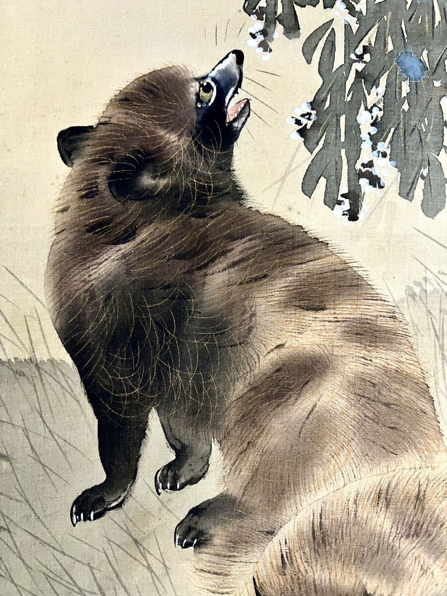 【真作】【S8】斎藤玉鳳「月に狸」絹本 肉筆 合箱 金泥 秋景 花鳥図 鳥獣 朧月 絵画 掛軸 明治-大正時代の日本画家_画像8