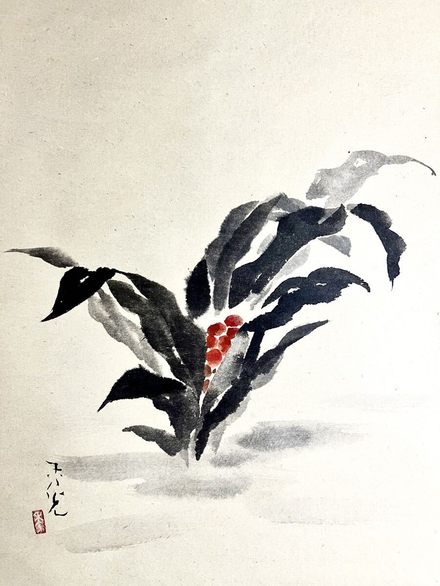 【真作】【S8】鈴木秀光「万年青」紙本 肉筆 共箱 花鳥図 茶掛け オモト 絵画 掛軸 大正-現代の日本画家 静岡の人 師: 野島青慈_画像3