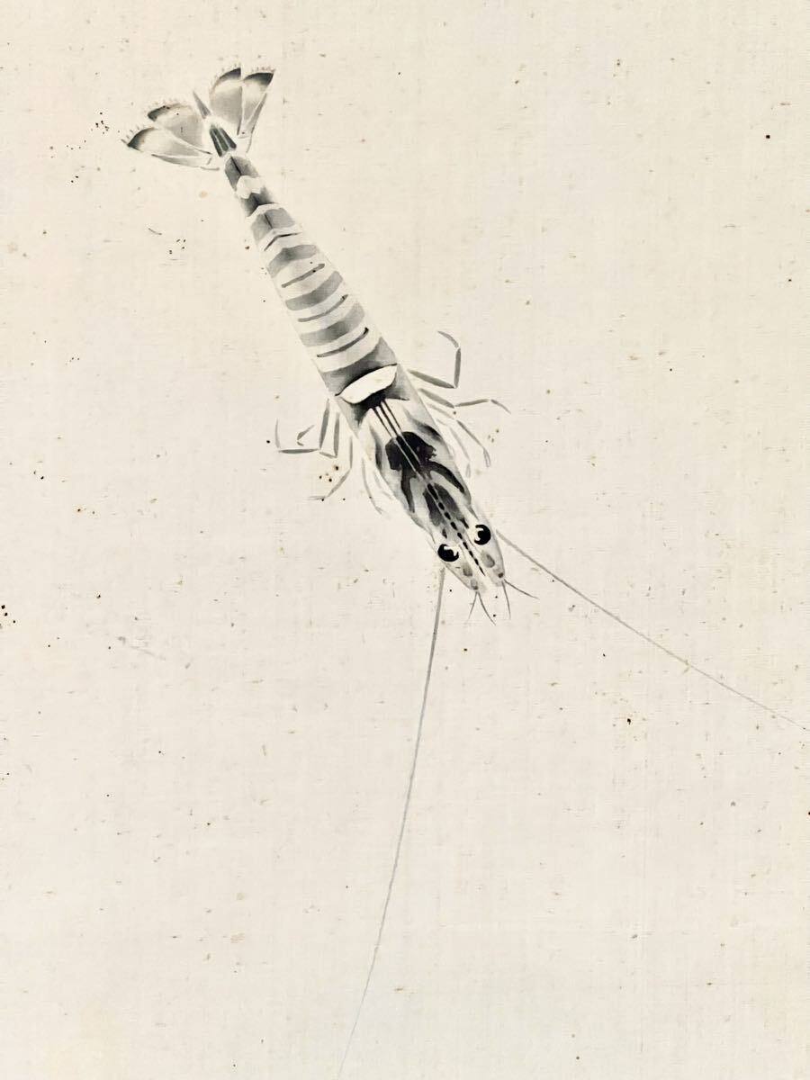 【真作】【S8】加藤晨明「ゑび」絹本 肉筆 共箱 鳥獣 えび 海老 魚介図 絵画 掛軸 昭和-平成時代の日本画家 愛知の人 師: 中村岳陵_画像4