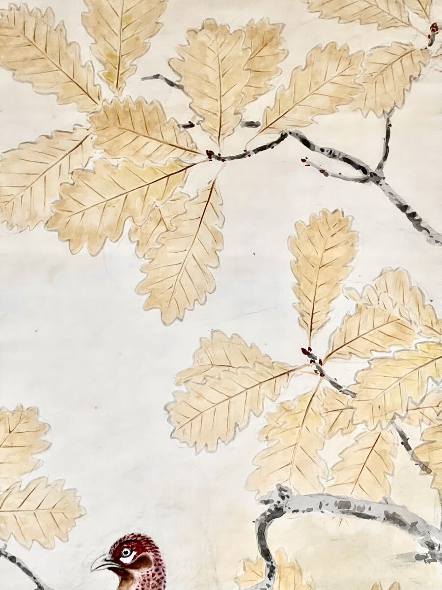 【真作】【S8】村瀬玉田「ヤマドリ」紙本 肉筆 合箱 秋景 花鳥図 鳥獣 山鳥 絵画 掛軸 明治-大正時代の日本画家 京都の人 村瀬双石の養子_画像3