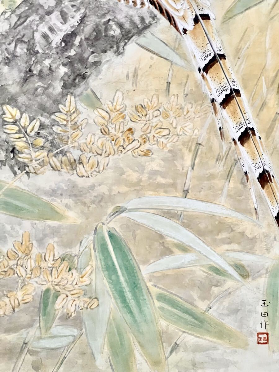 【真作】【S8】村瀬玉田「ヤマドリ」紙本 肉筆 合箱 秋景 花鳥図 鳥獣 山鳥 絵画 掛軸 明治-大正時代の日本画家 京都の人 村瀬双石の養子_画像5