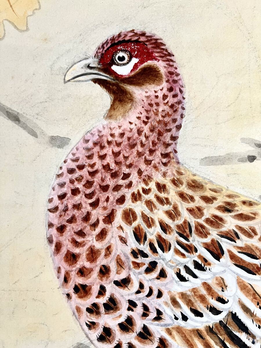 【真作】【S8】村瀬玉田「ヤマドリ」紙本 肉筆 合箱 秋景 花鳥図 鳥獣 山鳥 絵画 掛軸 明治-大正時代の日本画家 京都の人 村瀬双石の養子_画像6