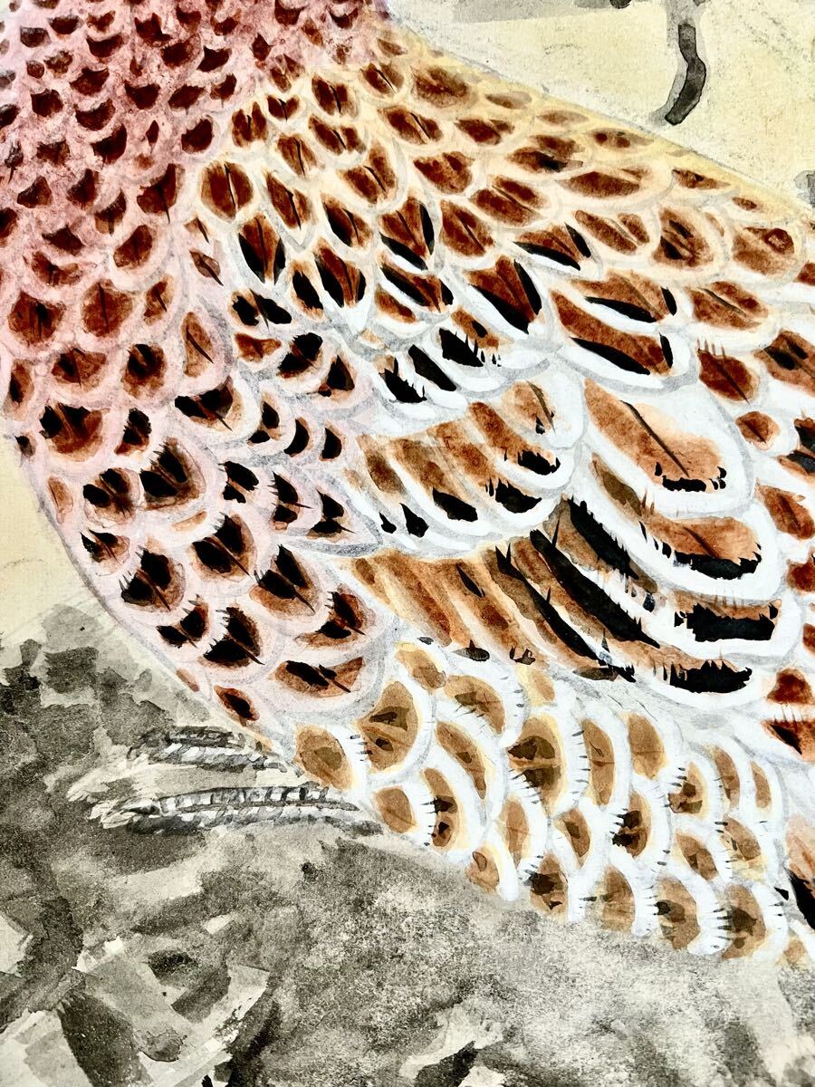 【真作】【S8】村瀬玉田「ヤマドリ」紙本 肉筆 合箱 秋景 花鳥図 鳥獣 山鳥 絵画 掛軸 明治-大正時代の日本画家 京都の人 村瀬双石の養子_画像7