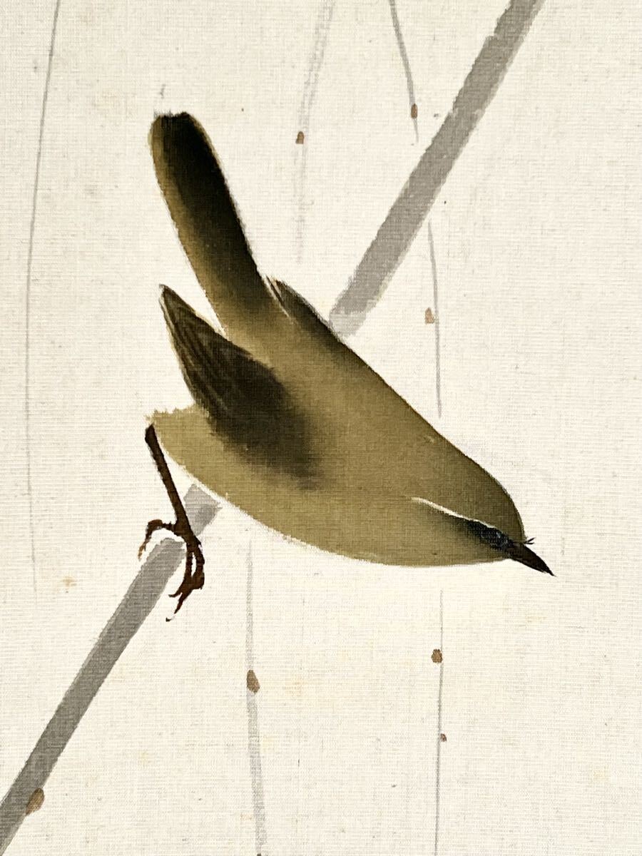 【真作】【S8】三橋武顯「椿に鶯」絹本 肉筆 合箱 花鳥図 鳥獣 ウグイス 絵画 掛軸 三橋武顕 大正-昭和時代の日本画家_画像9