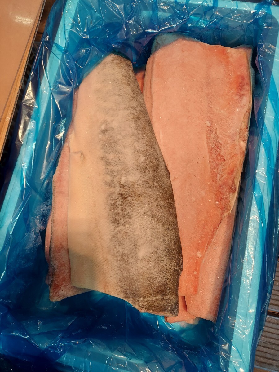 秋鮭半身50cm1枚1480円即決_画像1