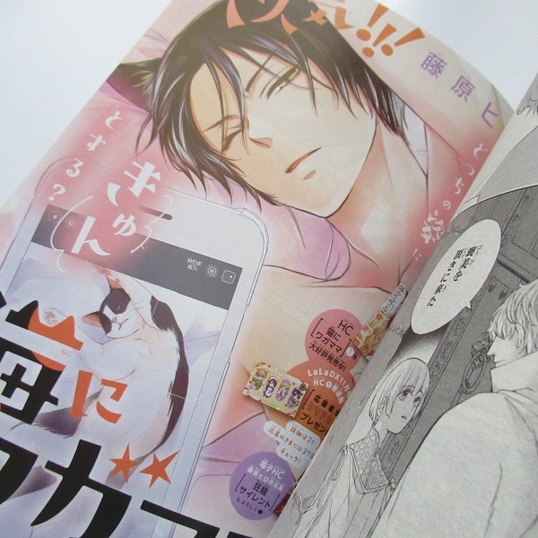 白泉社 LaLaDX 2025年 11月号 猫にワガママ 転生悪女の黒歴史 機械じかけのマリー＋ 年年百暗殺恋歌 偽りのフレイヤ 土かぶりのエレナ姫_画像4