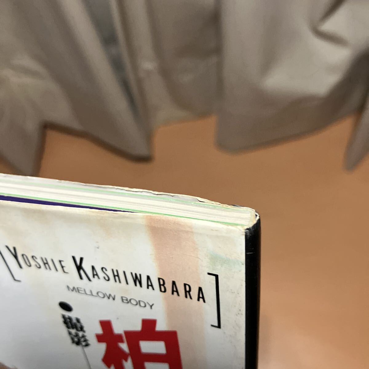 柏原芳恵　写真集 株式会社ビックマン_画像6