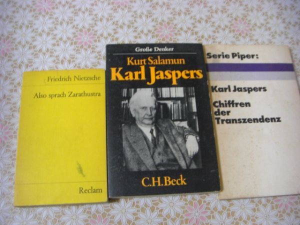 ドイツ哲学洋書 9冊 Nietzsche Heidegger Sein und Zeit Mircea Eliade Karl Jaspers C1_画像3