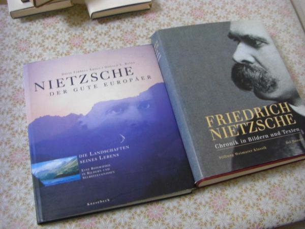 ドイツ哲学洋書 9冊 Nietzsche Heidegger Sein und Zeit Mircea Eliade Karl Jaspers C1_画像6