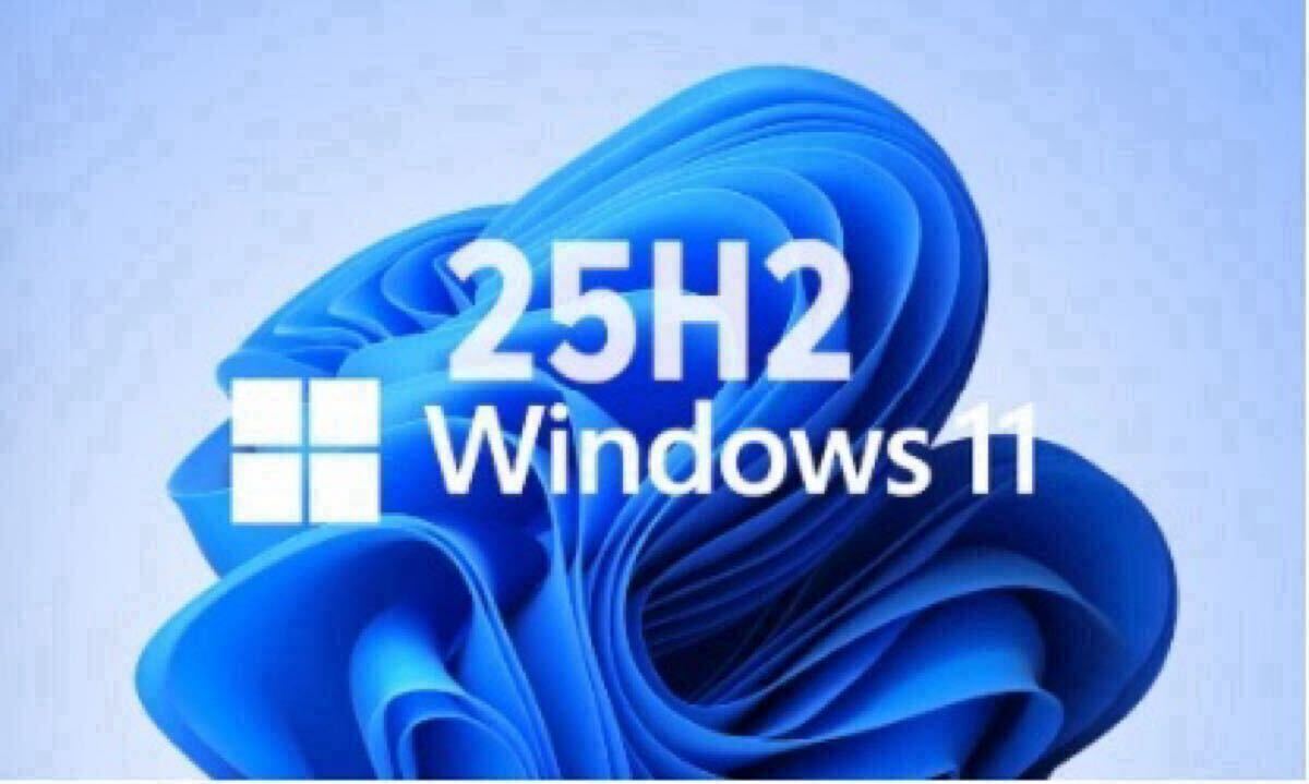  Windows11 25H2 非対応PC対応DVDメディア_画像1