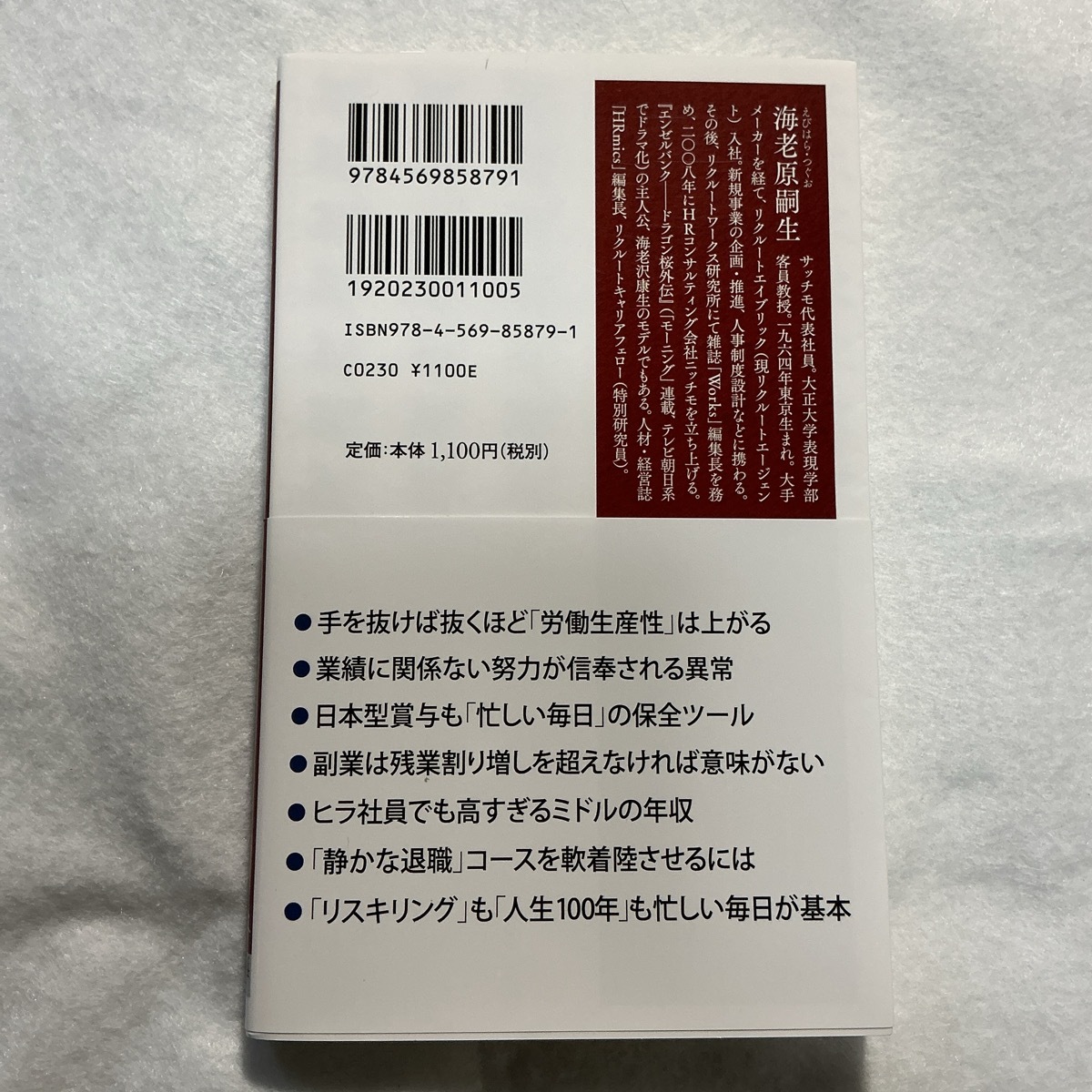 静かな退職という働き方　海老原嗣生　PHP新書_画像2