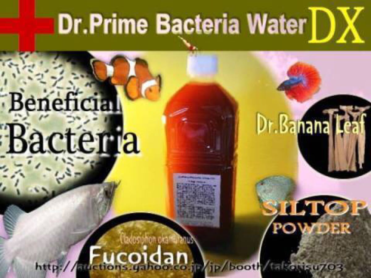 【最強！水槽革命オールインワン】 水が死なないバクテリア濃縮液2.4リットルセット【水質浄化力+フルボ強化！】 э **ц** ⑳の画像1