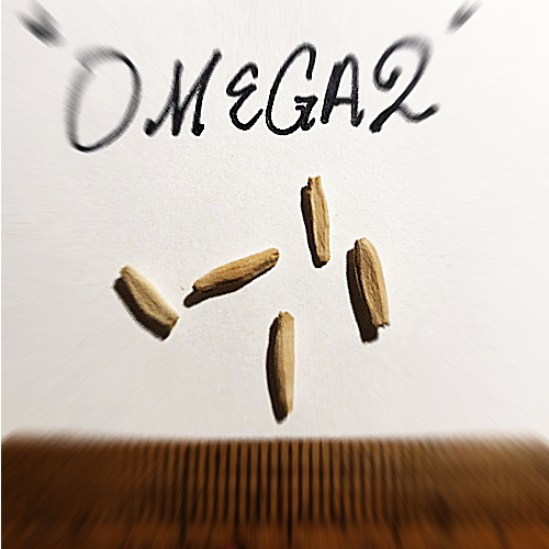 激レア■情熱赤紫の儚い調べ アデニウム Omega2 種子 5粒 γ **ц** ②の画像2