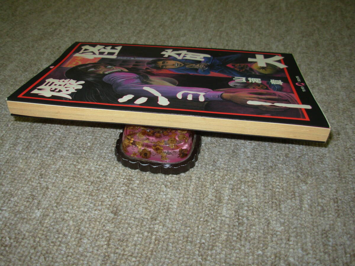 怪奇大爆ショー＊山浦章★実業之日本社_画像5