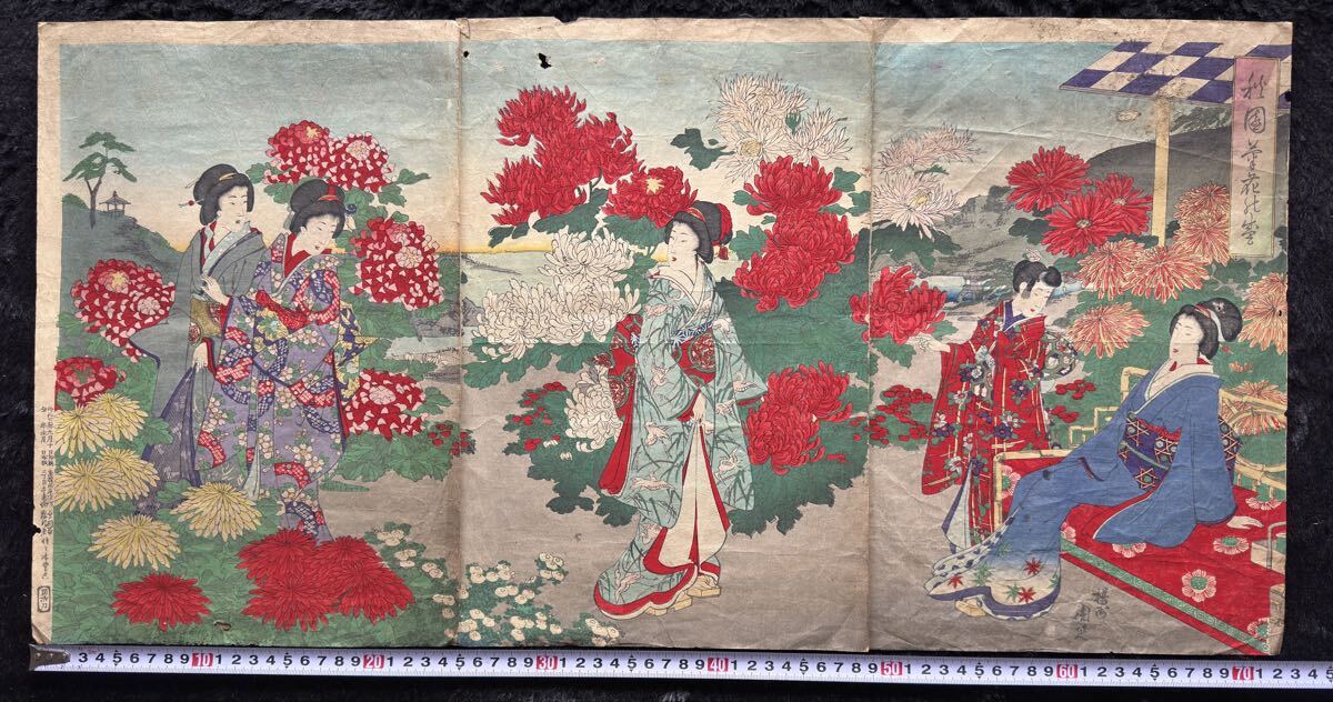 明治期/真作 楊洲周延「秋園菊花の盛」本物浮世絵木版画 美人画 錦絵 大判 三枚続き_画像2