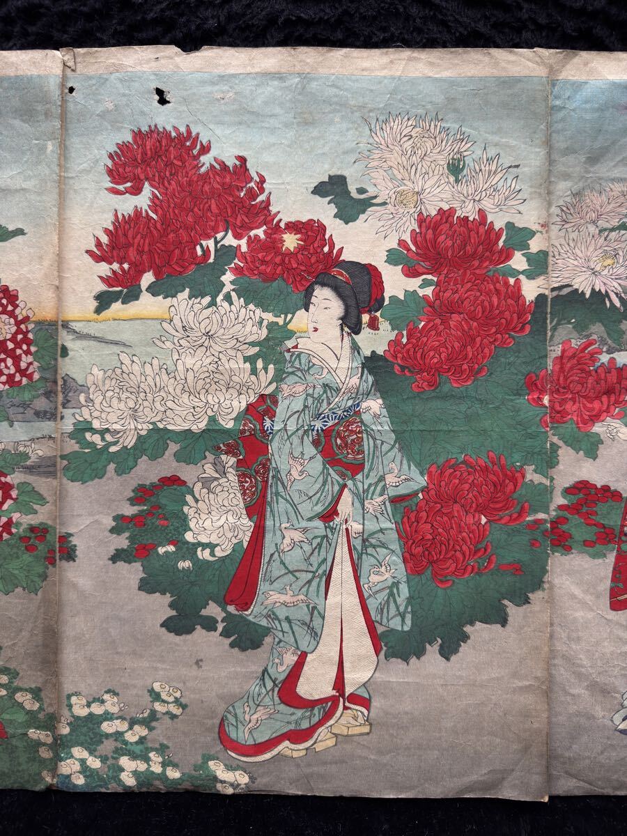 明治期/真作 楊洲周延「秋園菊花の盛」本物浮世絵木版画 美人画 錦絵 大判 三枚続き_画像4