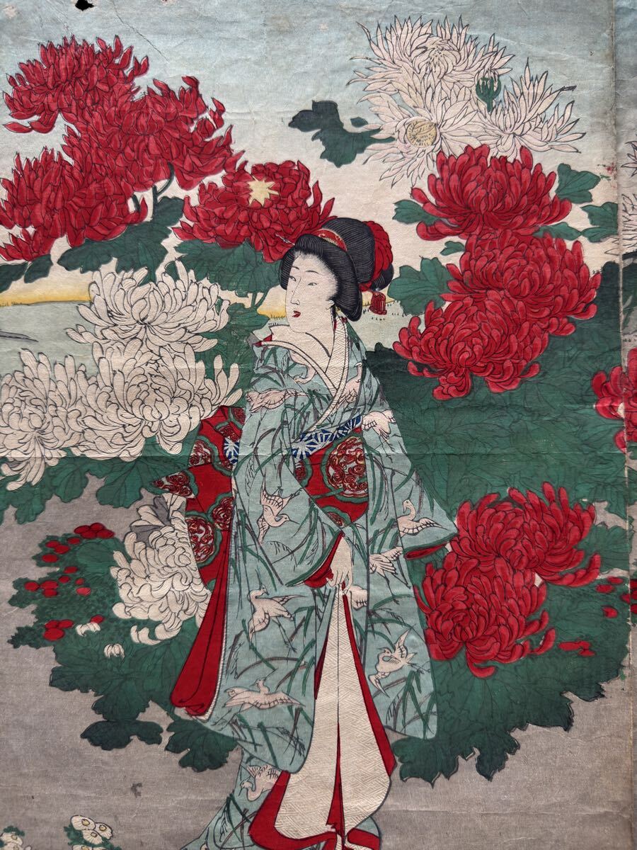 明治期/真作 楊洲周延「秋園菊花の盛」本物浮世絵木版画 美人画 錦絵 大判 三枚続き_画像7
