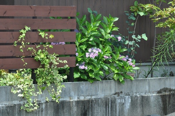 【ケース付き】 ニコン Nikon AF-S Nikkor 70-200mm F2.8 G ED #A149-Y30OC_画像10