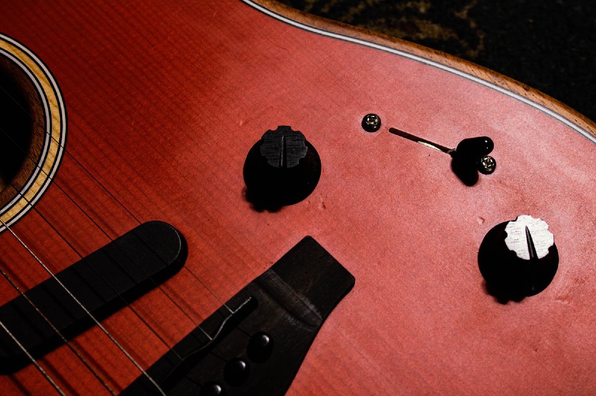 Fender American Acoustasonic Stratocaster / 2021年製 フェンダー アコスタソニック エレアコ ストラト 3140331 D1014_画像8