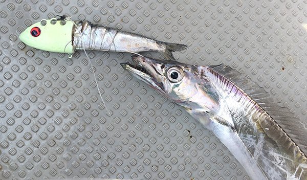 ■999円~【ヤマシタ 猛追太刀魚テンヤ船 鰯タイプ サーベルピンクグローゼブラ】40号 送料激安200円 入手困難な2020年限定カラー!ラス1_画像6